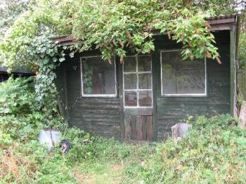 Shed - Shed at the bottom of the garden