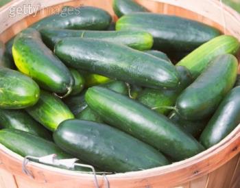 cucumber - One cannot estimate the good uses of cucumber