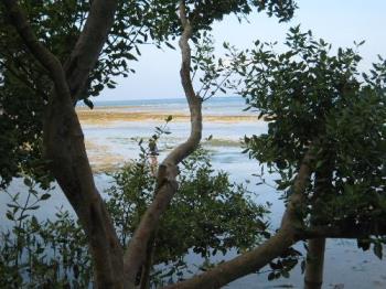 beach - a beautiful scenery by the beach in asturias cebu... beach - a beautiful scenery by the beach in asturias cebu...
