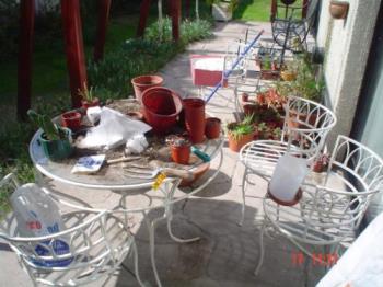 Getting the cacti ready - I refreshed ans changed the soil of my cacti before cleaning the place. I do it in the terrace table because of my back.