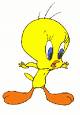 Tweety - Tweety is a bird that always gets chased by Sylvester.
He is yellow and lives in a cage, except when he gets out. It is a cartoon.
