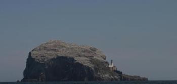 Gannet colony - Cliff with a gannet colony in the Firth of Forth near Edinburgh