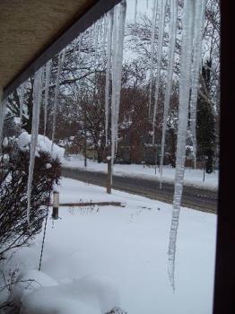 today&#039;s icicles - This taken out my door this afternoon. It is still snowing!