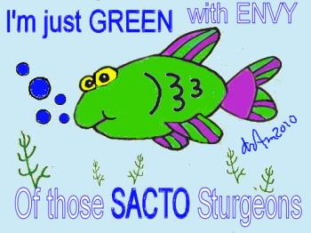 Green Fish - I have heard that Sturgeon from the Sacramento Delta are beyond compare. Green Fish - I have heard that Sturgeon from the Sacramento Delta are beyond compare.