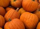 pumpkins, good, eyesight - pumpkin, yummy, candy