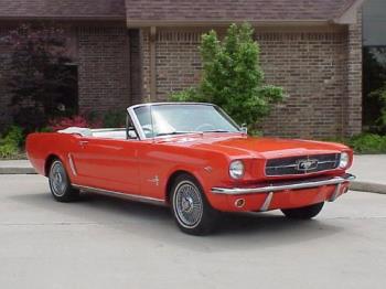 Mustang  - A Red 1964 Mustang