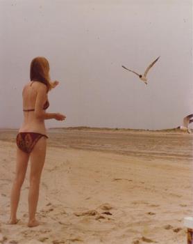 I&#039;m feeding seagulls lemon cookies. - This was taken in the mid-70s when I was quite a bit younger and quite a bit thinner (svelt, as I was fond of saying) and quite a bit more agreeable to wearing a bikini.