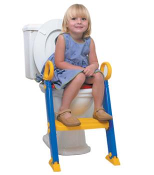 great potty chair - not bells whistles or talking and noises needed and so much easier to clean. Plus it is a potty just like Mommy & Daddy use. 