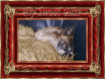 Gissi not to well - Gissi feeling of colour Gissi not to well - Gissi feeling of colour