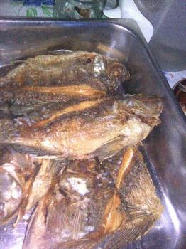 fried fish - It is fried fish.