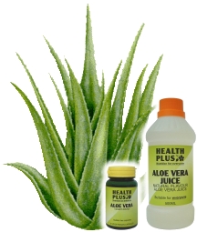 aloe vera - Aloe vera is a wonder herb
