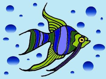 Angel Fish Drawing - A colorful Angelfish for EvrWonder Angel Fish Drawing - A colorful Angelfish for EvrWonder