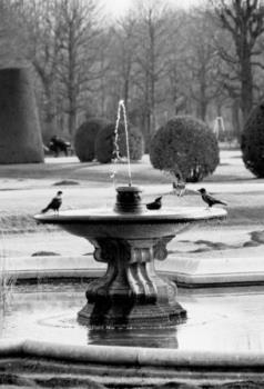 Vienna - Fountain in the sculpted gardens surrounding Schönbrunn palace