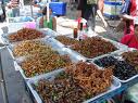 Deep Fried Insects - Deep fried insects at Bangkok streets.