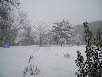 Front Window View Winter 2009 - This was taken after our first big snow last winter, the beginning of the EVIL winter, the bad, bad winter, the one I never want to see repeated! Oh, it was beautiful but, geez, over eight feet of snow is too much, ya know? Front Window View Winter 2009 - This was taken after our first big snow last winter, the beginning of the EVIL winter, the bad, bad winter, the one I never want to see repeated! Oh, it was beautiful but, geez, over eight feet of snow is too much, ya know?