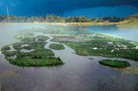 majuli - majuli... the world&#039;s largest river island