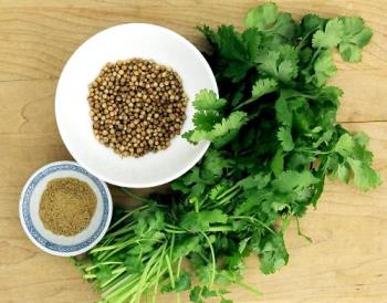 Coriander - Leaves, seeds and ground coriander Coriander - Leaves, seeds and ground coriander