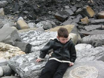 massive imprint of ammonite fossil -amazingly larg - massive imprint of ammonite fossil -amazingly large massive imprint of ammonite fossil -amazingly larg - massive imprint of ammonite fossil -amazingly large