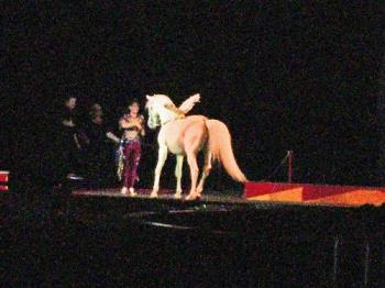 Circus horse - They had six performing white horses, that all had wings attached.