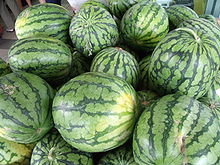 Watermelon - dELICIOUS