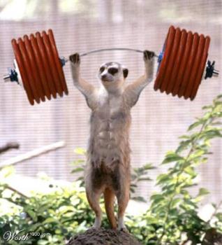 liftingwait - wait liftingwait - wait