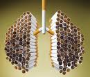 lungs - effects of smoking