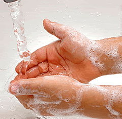wash your hands - make it a habit to wash your hands everytime you have the chance to.
