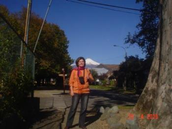 The Villarrica volcano as the background - I´m at less than a block awayfrom the lake. Thetre is this giant aspen and the great volcano in the horizon.