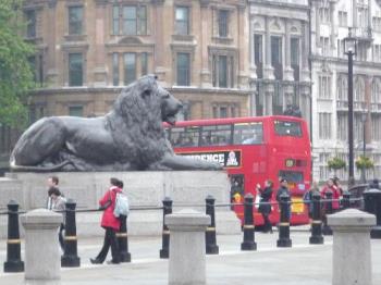 London - One of the famous stone lions in Trafalgar Square, London. Note the red bus in the background.