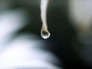 water droplet - Each drop is precious