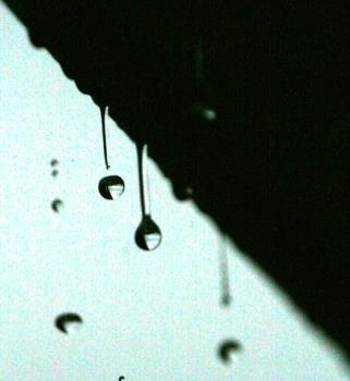 Rain - Close-up of rain