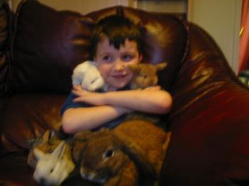 my son with mummy rabbit and the babies ,......... - my son with mummy rabbit and the babies ,.......................................
