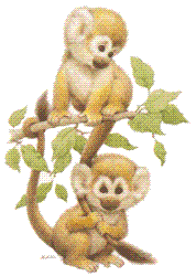 monkeys - Monkeys