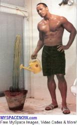the rock - watering a plant