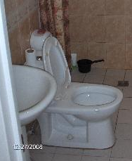 usual - toilet