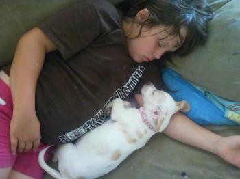 Nevada and Mojo - This is a special pic of my daughter and Mojo Sleeping together on the couch. How sweet is that.