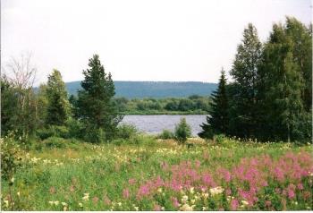 Work of Art by the Greatest Artist, our Creator!! - I was waiting for a bus and turned against the river. There it was, a wonderful view with summer flowers and trees and river and dark green hills in the background.