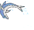 spinning dolphin - spinning dolphin