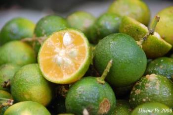 calamondin - This is a common fruit in our country.