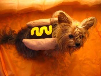 Hot Dog Costume - Easy Crafts and Sewing Projects