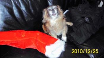 Gissi mad at me  - Hehehehe this is fun teasing Gissi 