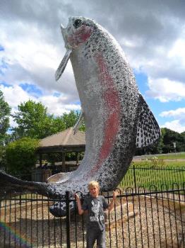 The Big Trout - Here is the Big Trout in Adaminaby in the Snowy Mountains of NSW. The Big Trout - Here is the Big Trout in Adaminaby in the Snowy Mountains of NSW.