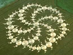 crop circle - either real or man made
