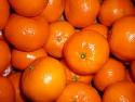 mandarins - delicious mandarins mandarins - delicious mandarins