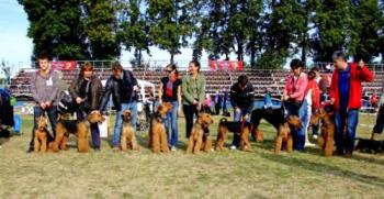 group photo - nobody knew others but from their postings in the dog lovers forum