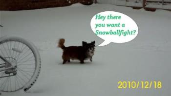 Well do you  - I want a Snowball fight so come on Mum 