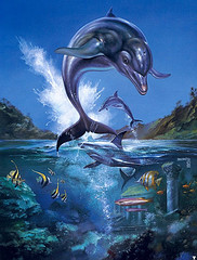 Dolphin - Dolphin