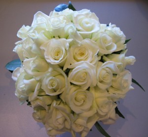 roses - white roses