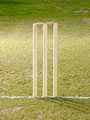 Cricket - The Stumps - The stumps are displayed in this Photo.
It symbolises the game of cricket.