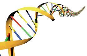 DNA can be collected anywhere however the accuraci - DNA is important to used in identify prescence of a living thing.